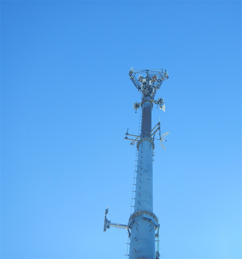 Project Case Title Three